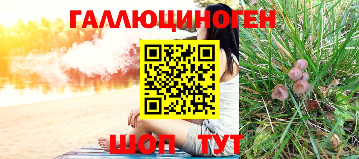 Галлюциногенные грибы MAGIC MUSHROOMS  Вход с VPN  Вязники  Галлюциногенные грибы GOLDEN TEACHER 