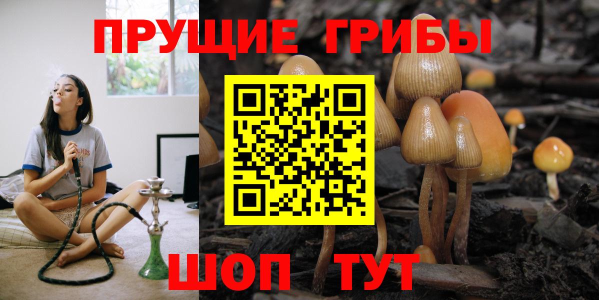 Галлюциногенные грибы GOLDEN TEACHER Вязники